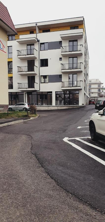 Studio Ema II Baia Mare Zewnętrze zdjęcie