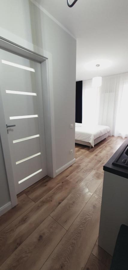 Studio Ema II Baia Mare Zewnętrze zdjęcie